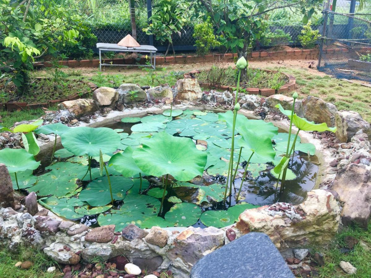 Lana Land Homestay Phu Quoc Exterior foto